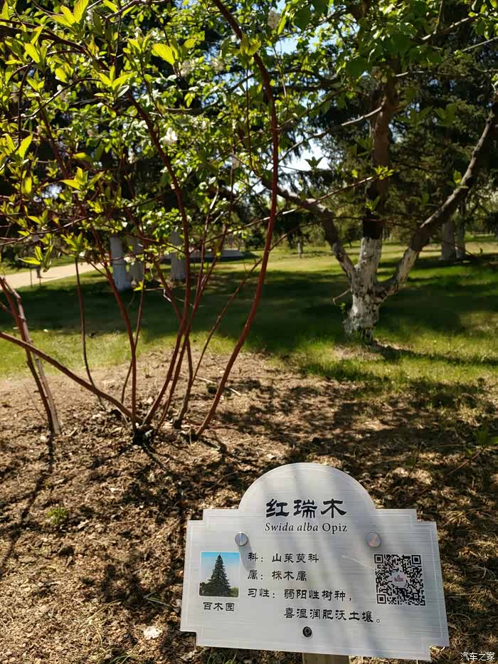 春游记全家五一百木园里看百木花开