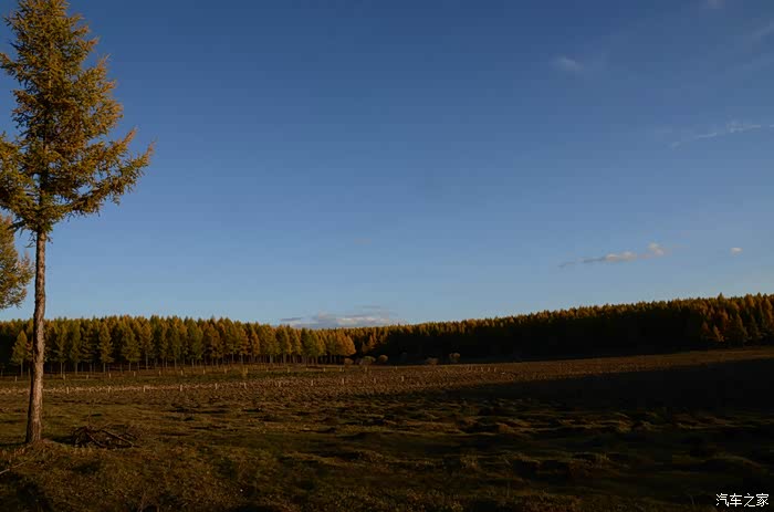 二屌欢乐坝上游照相水平差请海涵