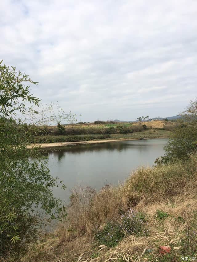 这个就是我们今天要摘的野菜,叫做白花菜,也叫扣子菜.