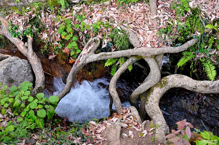 最美乡村之黄竹村