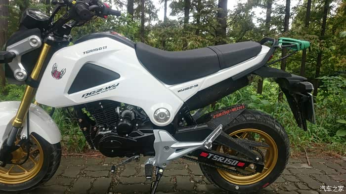 忍不住对摩托的喜爱,新手入手望江大公仔