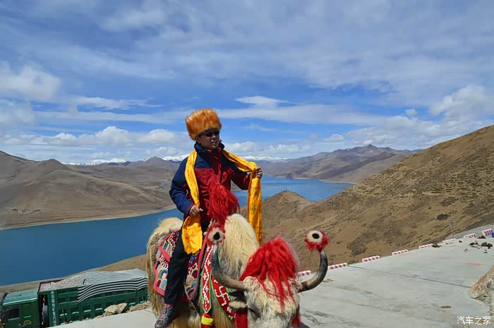 这个老牛骑着不错.