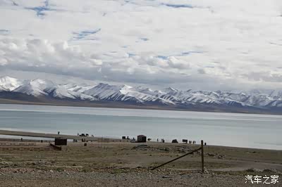 做生意人为了让牦牛听话,把绳子穿在牦牛的鼻子上.