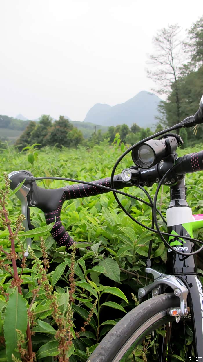 天下武功唯快不破我的美利达公路车斯特拉903