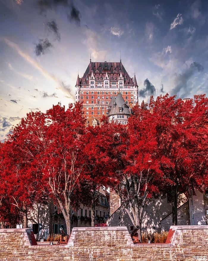 秋日魁北克的红色枫叶,祝你红运当头