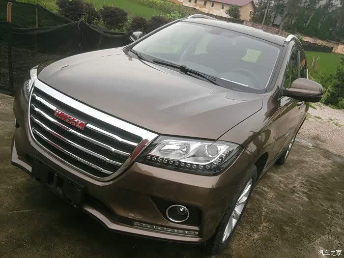 有没有人定的可可棕,看下好不好看?