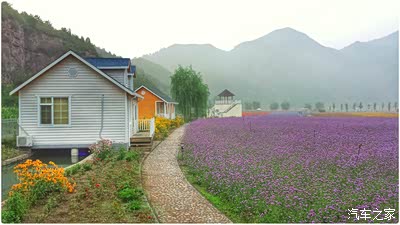 【自驾游】去人间花海住小木屋看花,游泳看美女(图片多多)