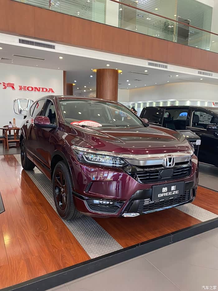 今日份罗曼紫皓影