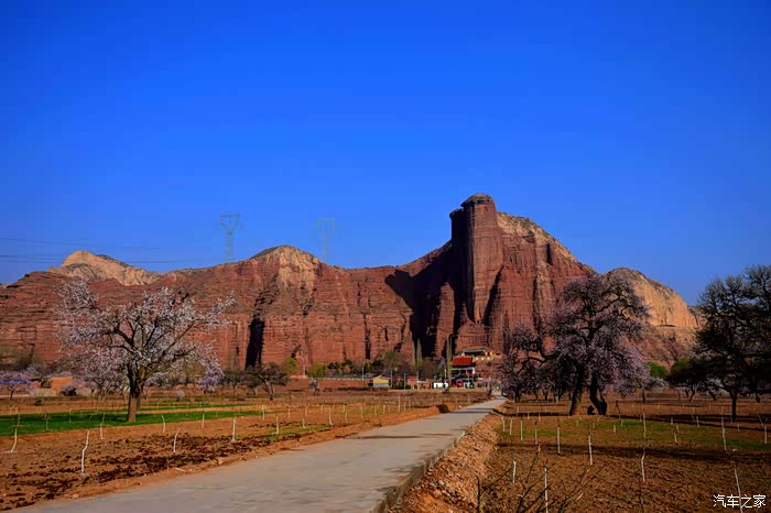 东乡族县唐汪镇的醉美杏花和丹霞奇观