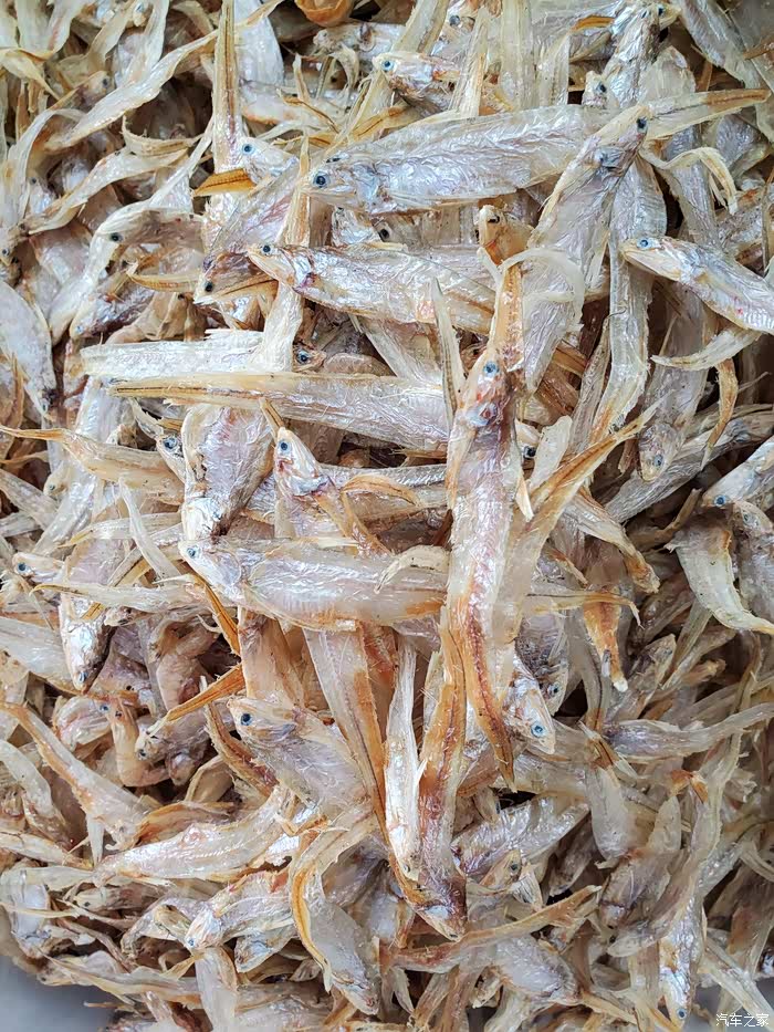 沃尔沃s90伴我同行巢湖忠庙买毛鱼