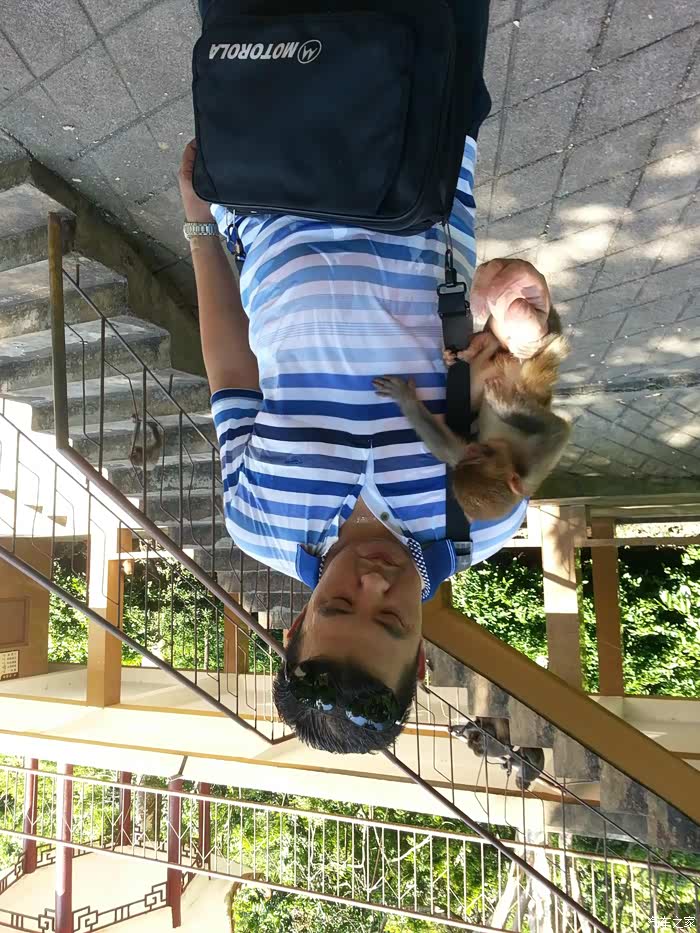 广西龙虎山庄游记