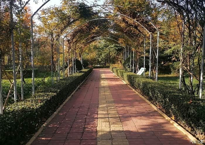 打卡寿光彩虹主题公园体验不一样的风土人情