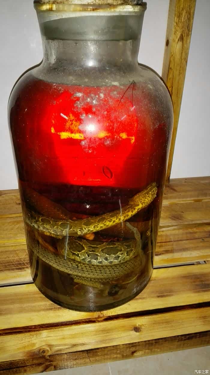 开平肥佬晒几支土炮