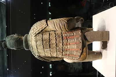 陪外地朋友同游兵马俑博物馆