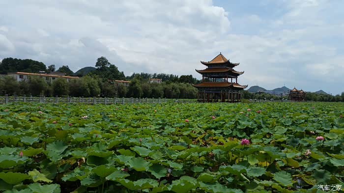 2016718映日荷花别样红再游安龙招堤与荷花节不期而遇
