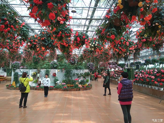 进园内的大门,门口放的都是鲜花