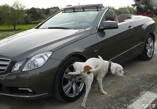 轮胎论坛_汽车之家论坛