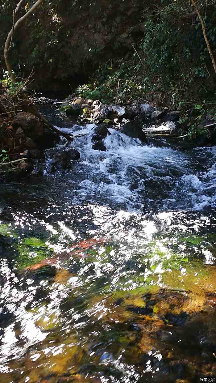 騰衝黑魚河一日遊