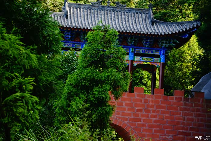 "怒放本色,挑战极限"【重庆非常骏】飞鸽林场耍水