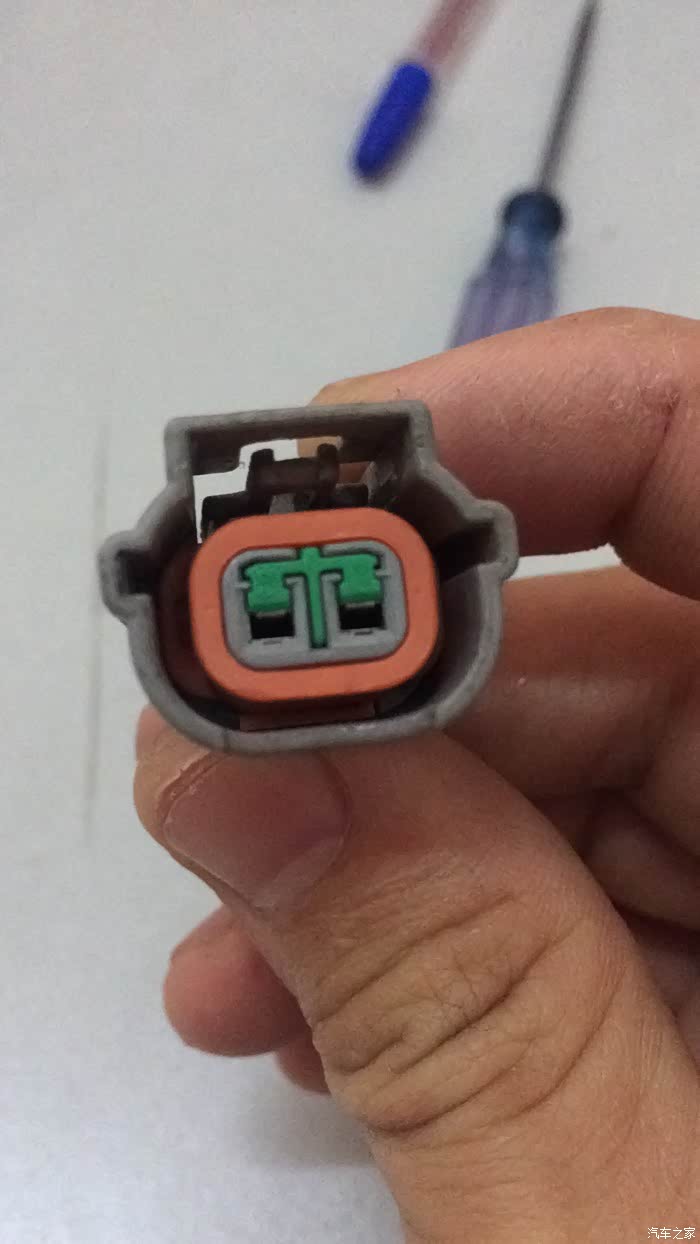 大神救命;老鼠咬线看图