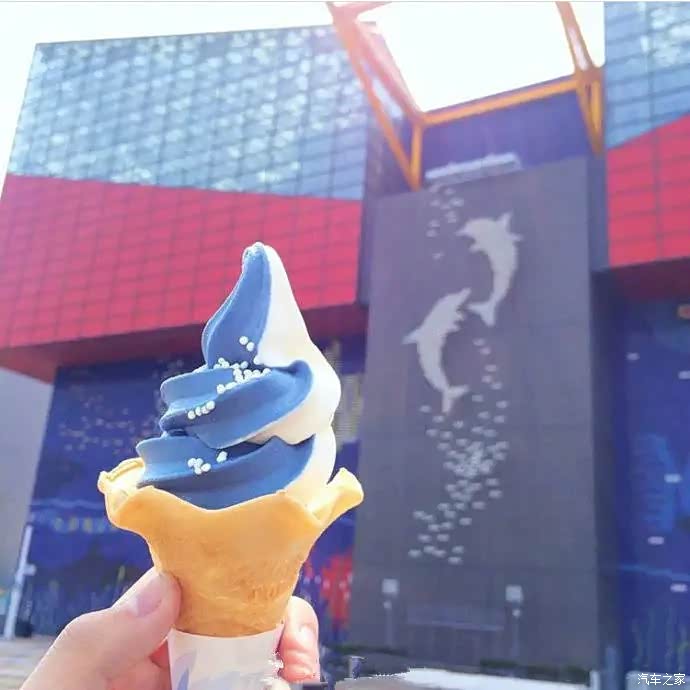 这样的冰淇淋你见过嘛来自大阪水族馆里的鲨鱼冰淇淋