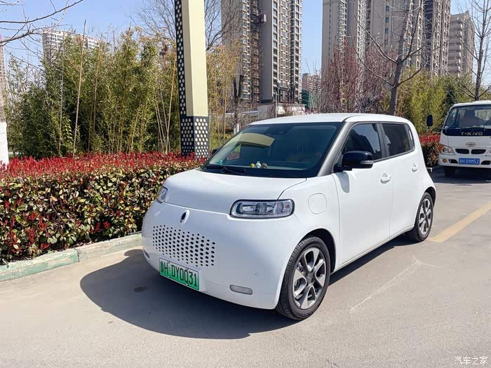 欧拉白猫论坛_汽车之家论坛