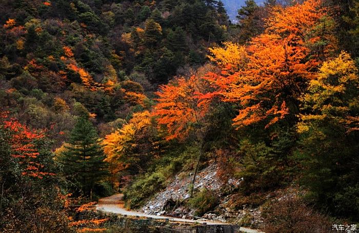 四川綿陽嘗青川臘肉觀唐家河美景