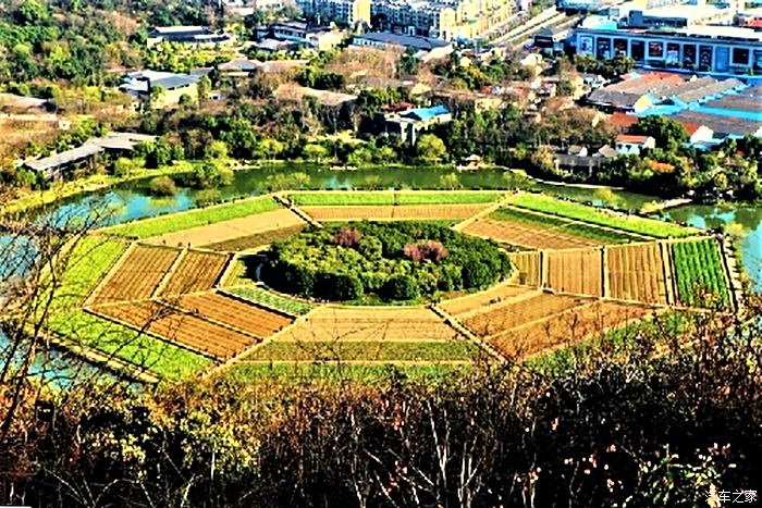 从玉皇山上俯瞰全景,才能看出八卦田的整体造型