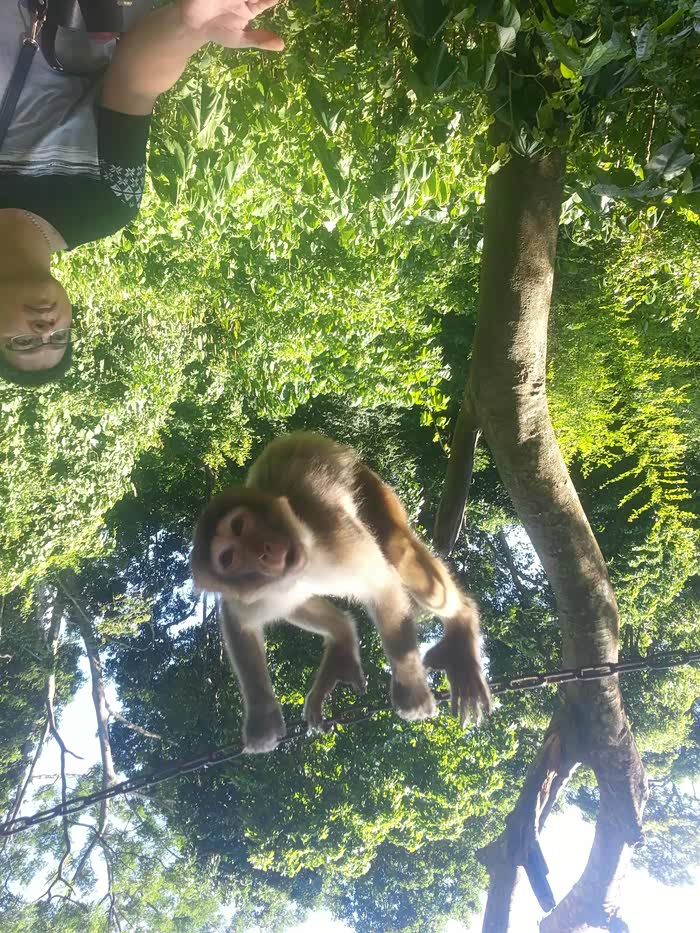 广西龙虎山庄游记