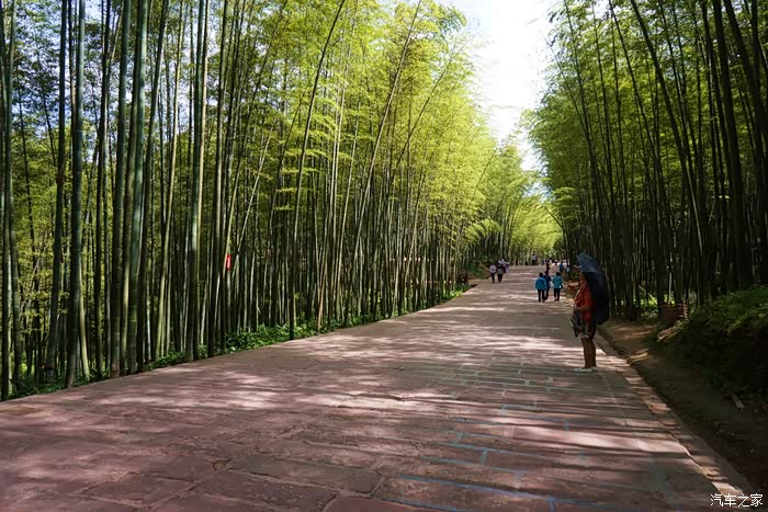 回复: 9 自驾游论坛 【你好2021】四川宜宾蜀南竹海,第一日翡翠长 