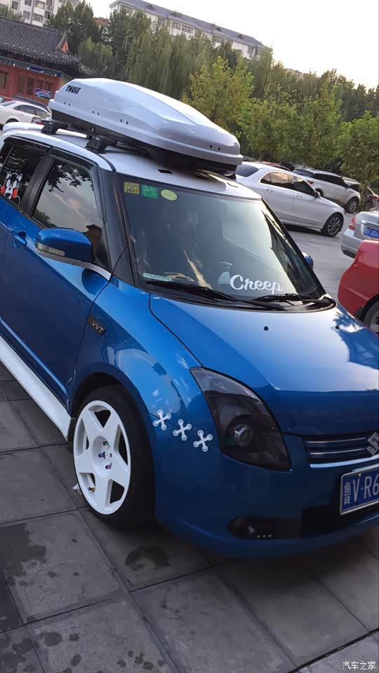 我和我的蓝白小雨燕的回忆