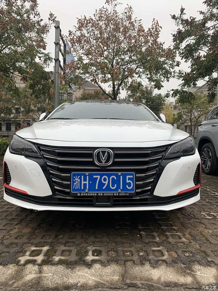 家用轿车首选长安锐成cc