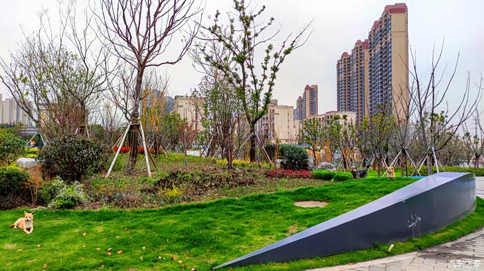 翠翠茵茵的芳草地