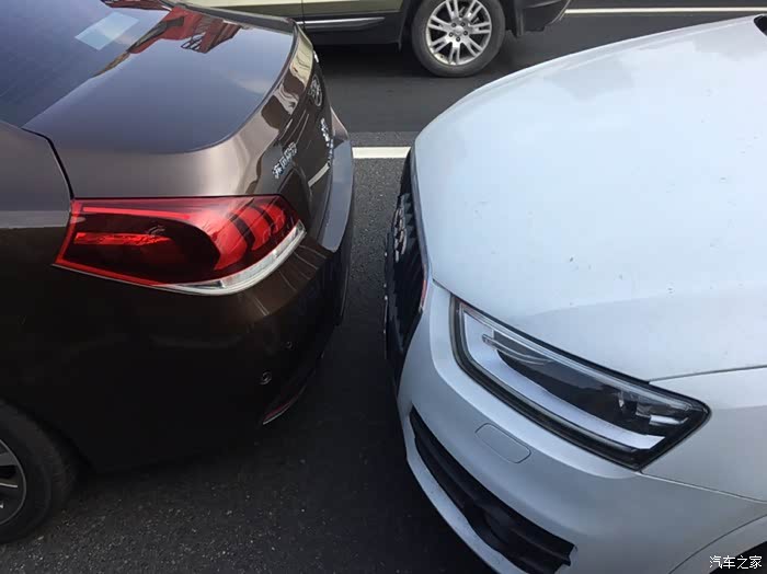 小狮子被追尾了求助