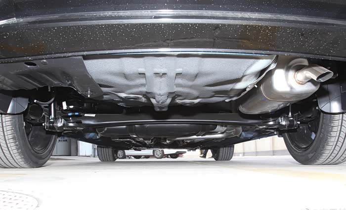 北京现代第七代伊兰特#济南菊花秋色美 降龙树下吃炖鸡