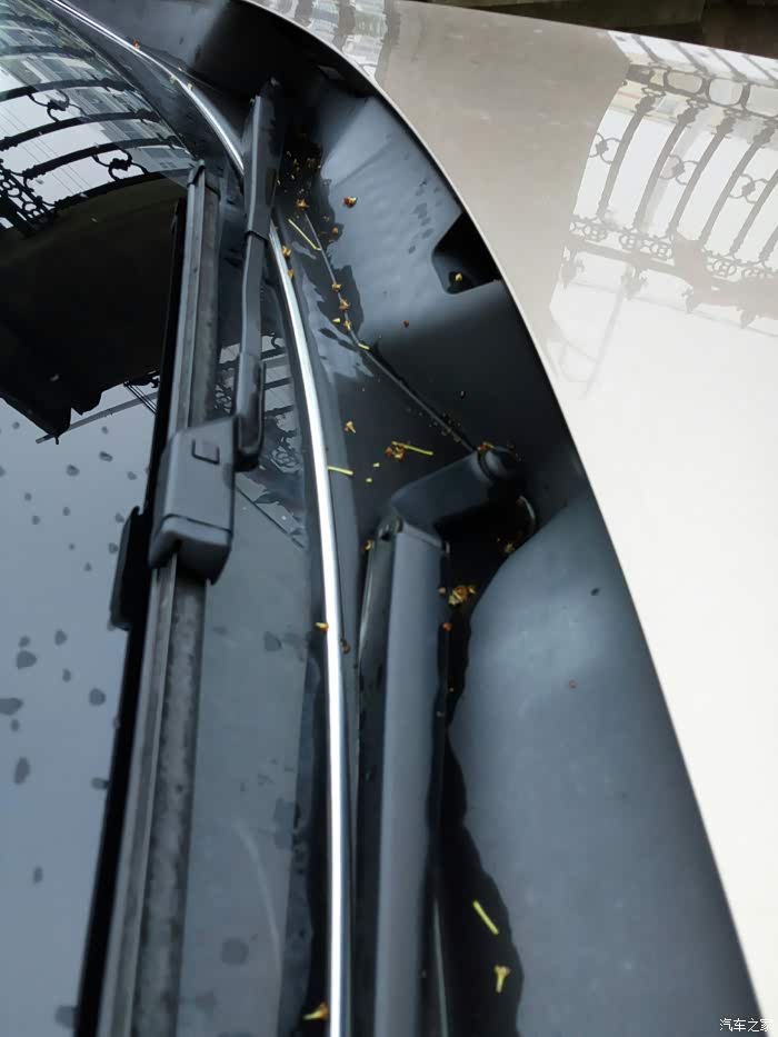 【图】各位老司机前挡的导水槽_宝来论坛_汽车之家论坛