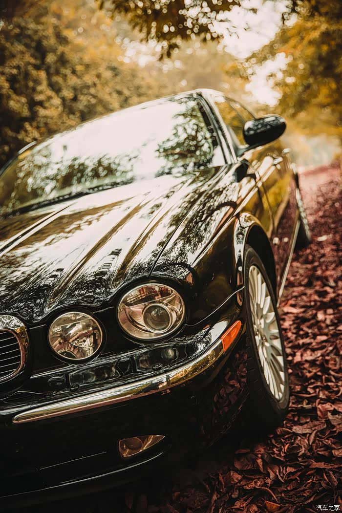 最美捷豹xj6皇家加长版英伦风