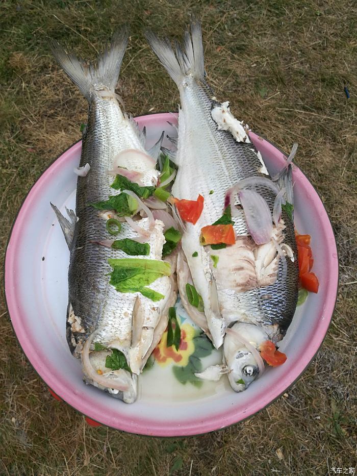 高白鮭,冷水魚,產至賽里木湖,做法很簡單,直接水煮放鹽就好,肉很鮮美