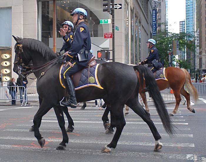 美国骑警装备图片
