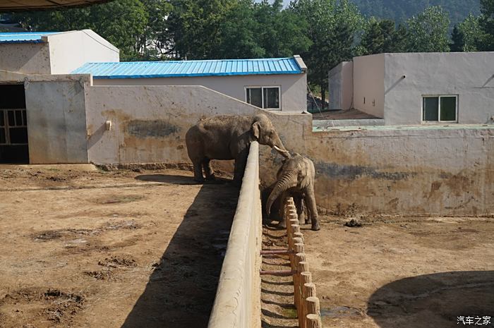 威海榮成神鵰山野生動物園遊記