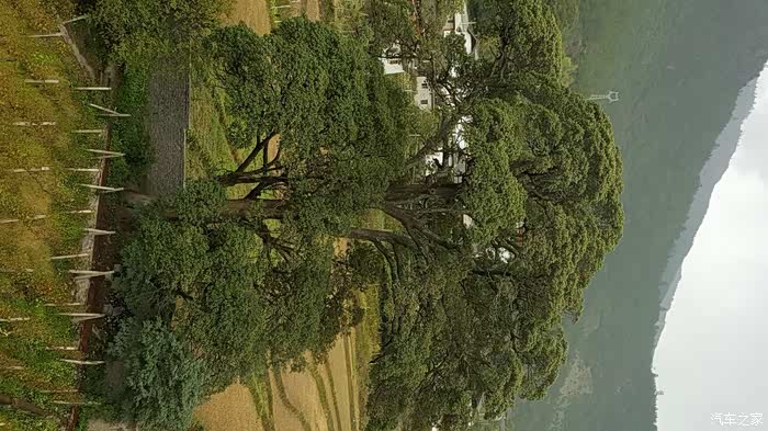 请在这里输入标题限30个字云南迪庆州德钦茨中村小游