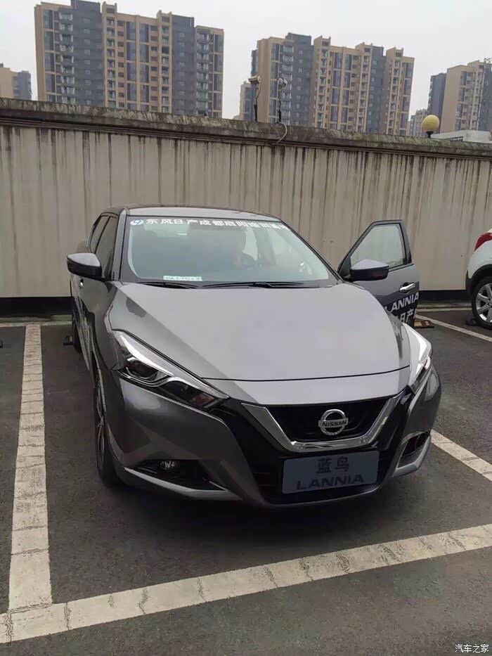 没有人喜欢钨钢灰的蓝鸟么?