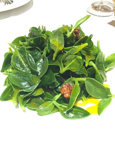 中秋十一,一路向北,横跨7省2市,草原游