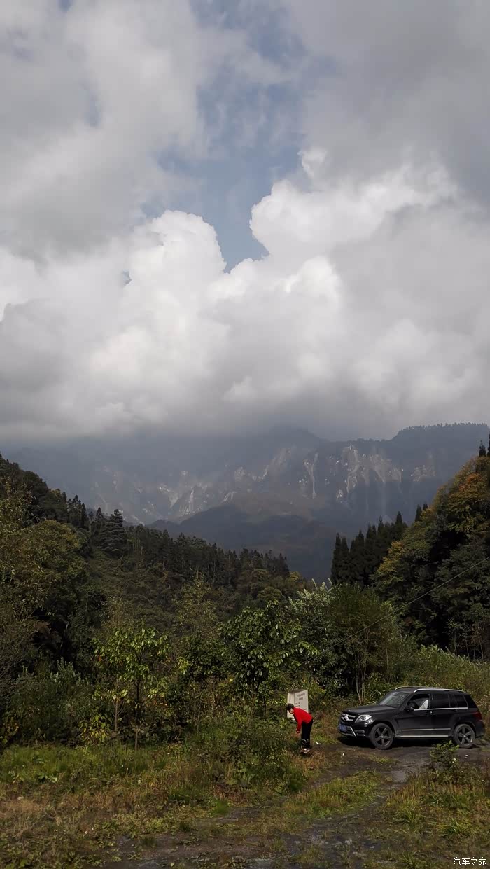 成都崇州鸡冠山出游偶遇野生蛇群记