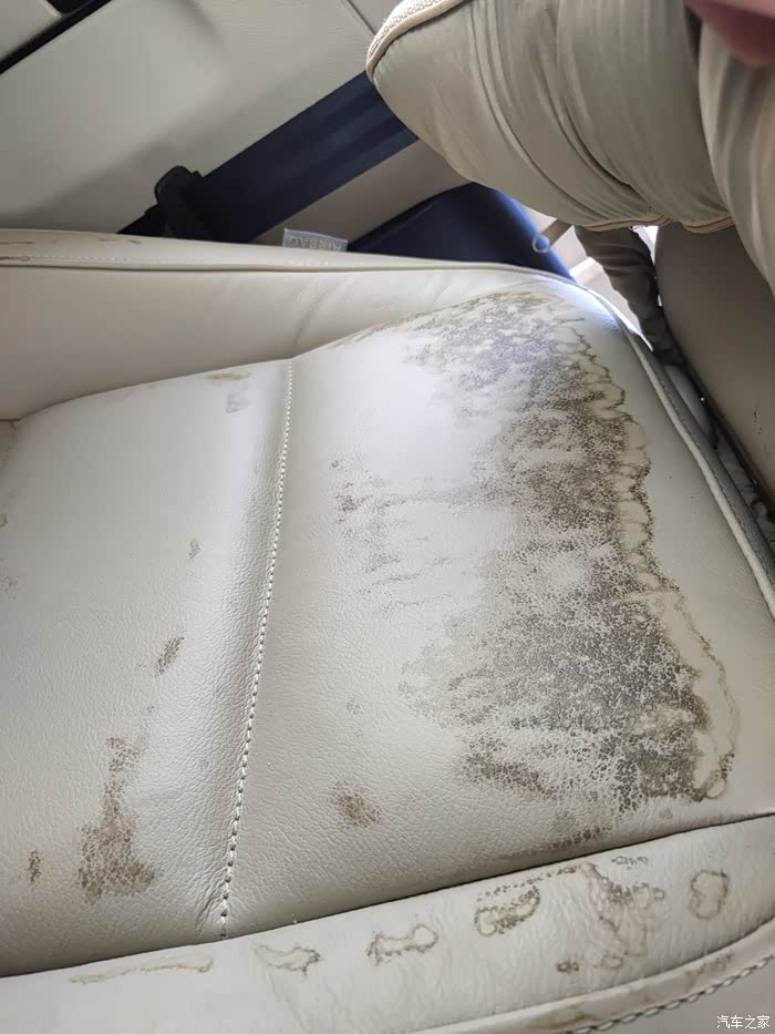 【图】急急急高尔夫用了七年座套把真皮座椅弄脏了,求车友们推荐怎么