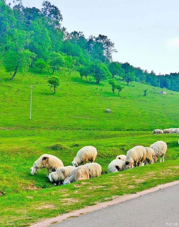 漫漫红尘路相思草原情