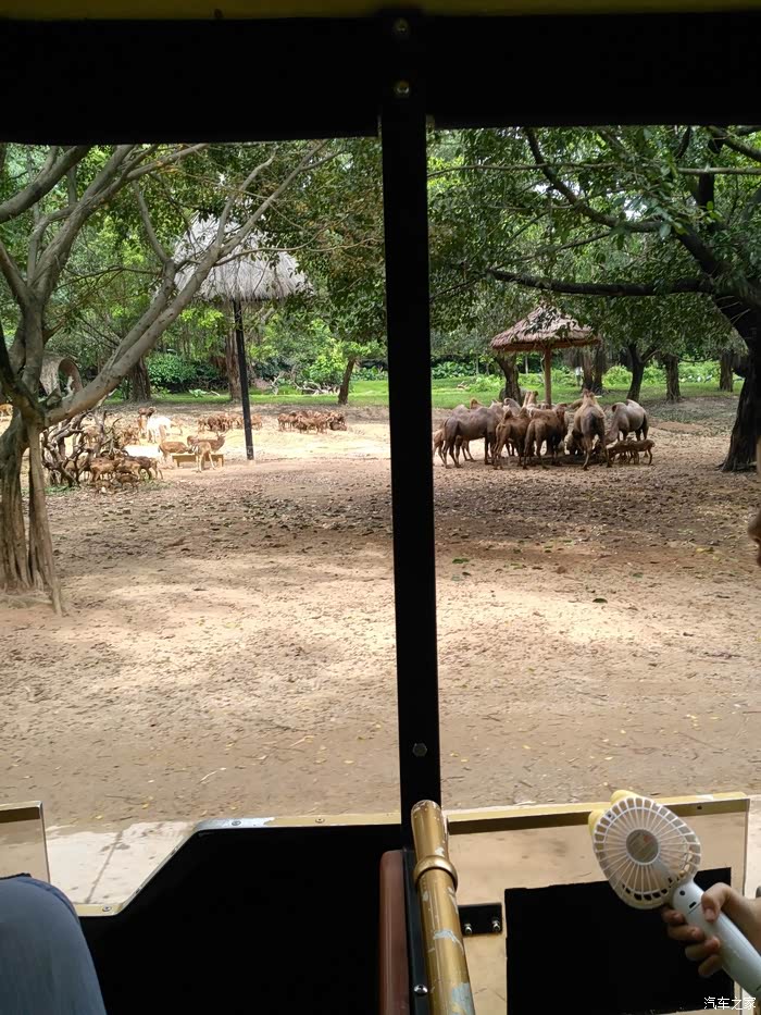 广东梅州雷凌车友会广州自驾游记长隆野生动物园