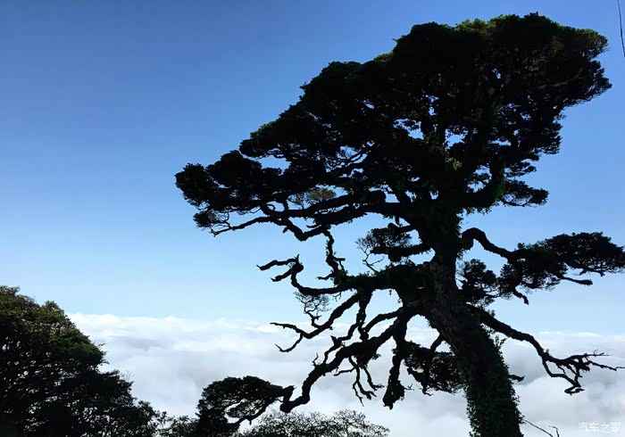 金秀圣堂山之旅