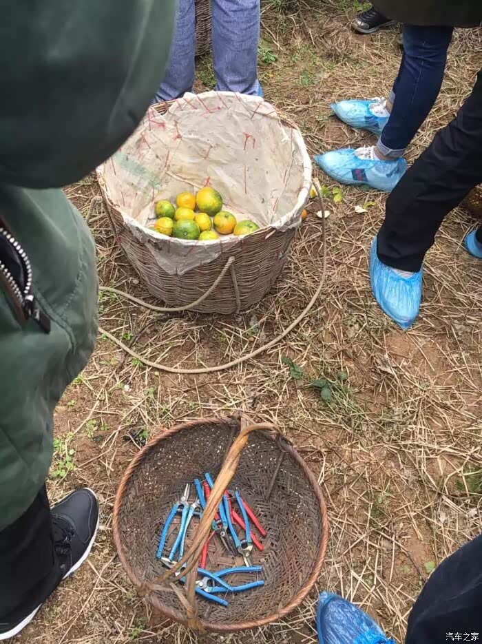 无锡cs35车友会携手车友大浮踩橘子