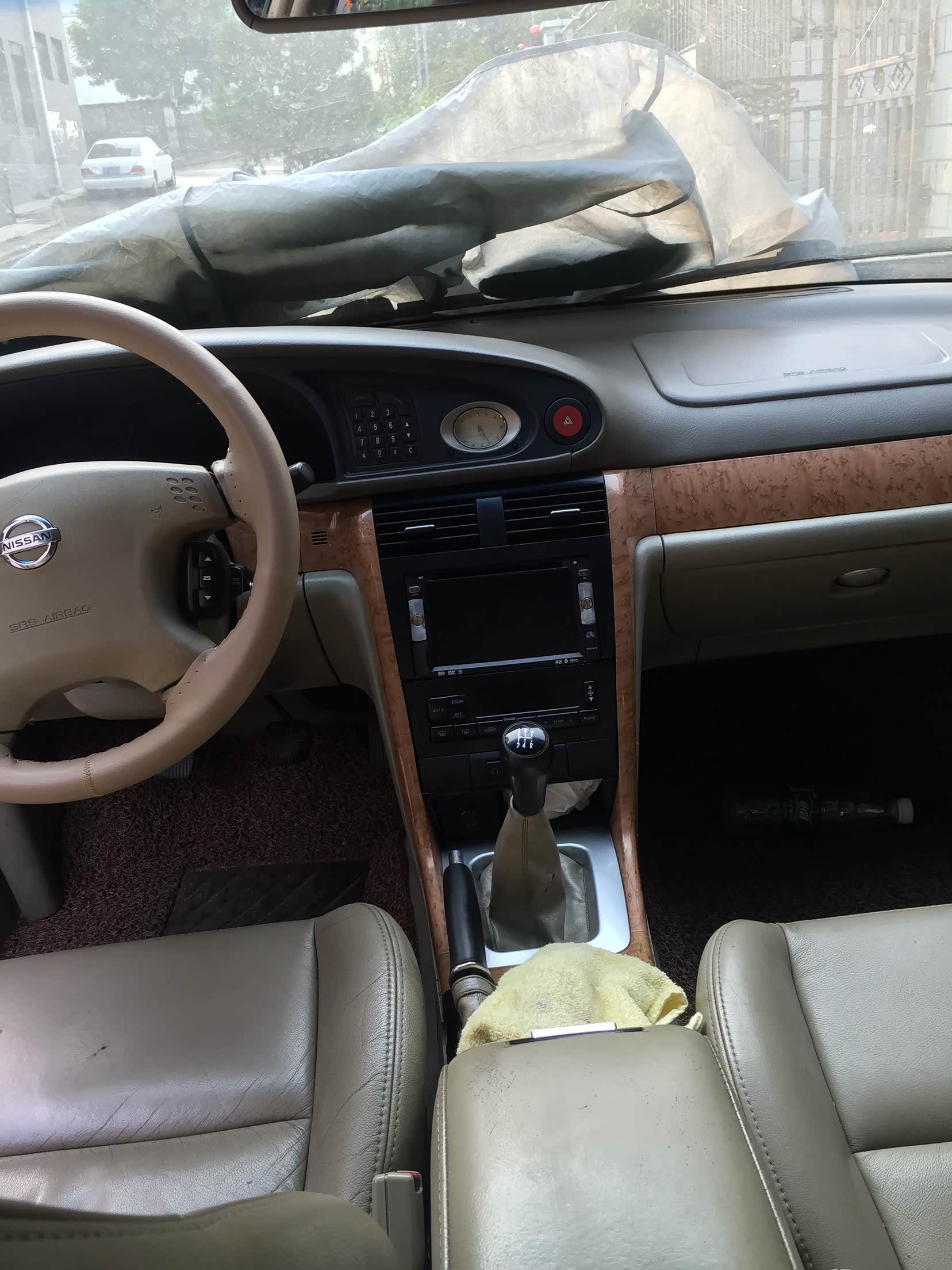 06年蓝鸟求收养